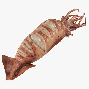 Grilled Squid 3D model