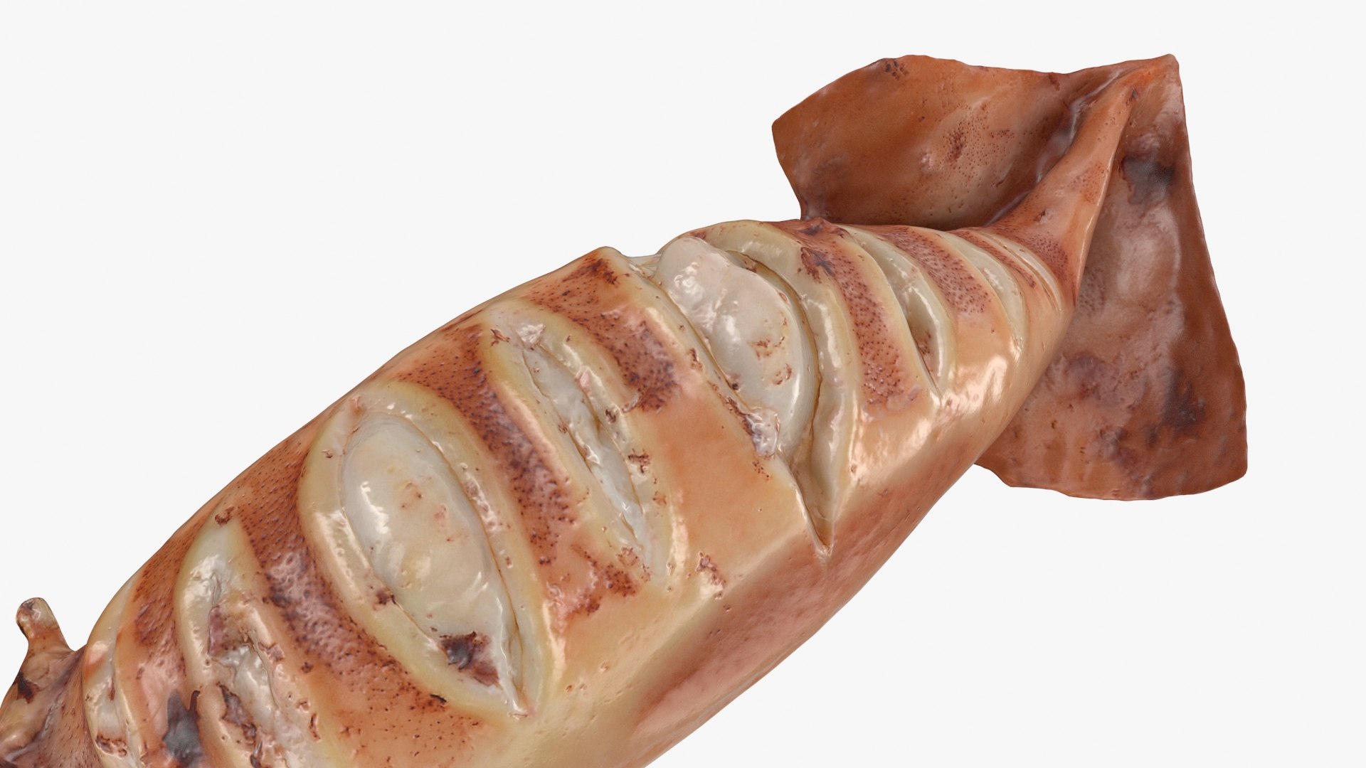 Grilled Squid 3D model https://p.turbosquid.com/ts-thumb/RA/j0HFQq/HR/grilledsquid_b0006/jpg/1698910168/1920x1080/fit_q87/eaff8a4ad9fc63c37fbc34dac8de247e58d69739/grilledsquid_b0006.jpg