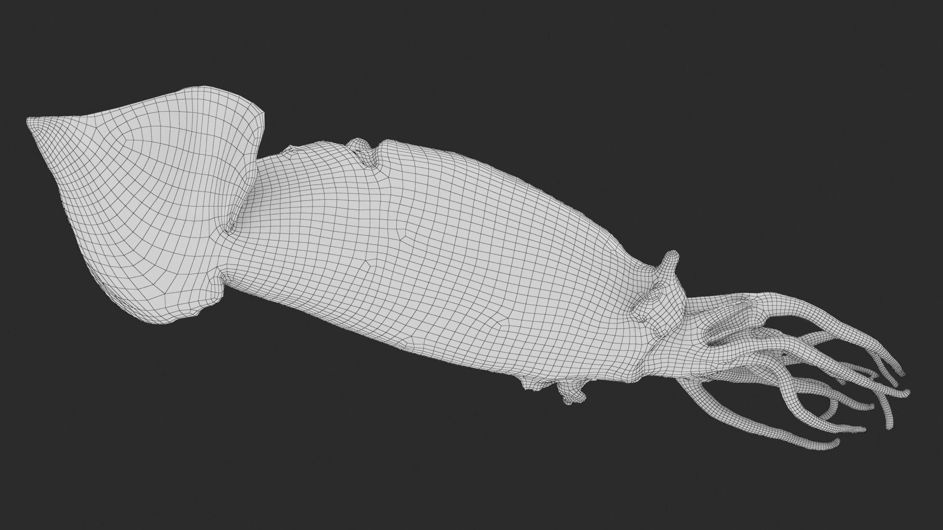 Grilled Squid 3D Model - TurboSquid 2146785