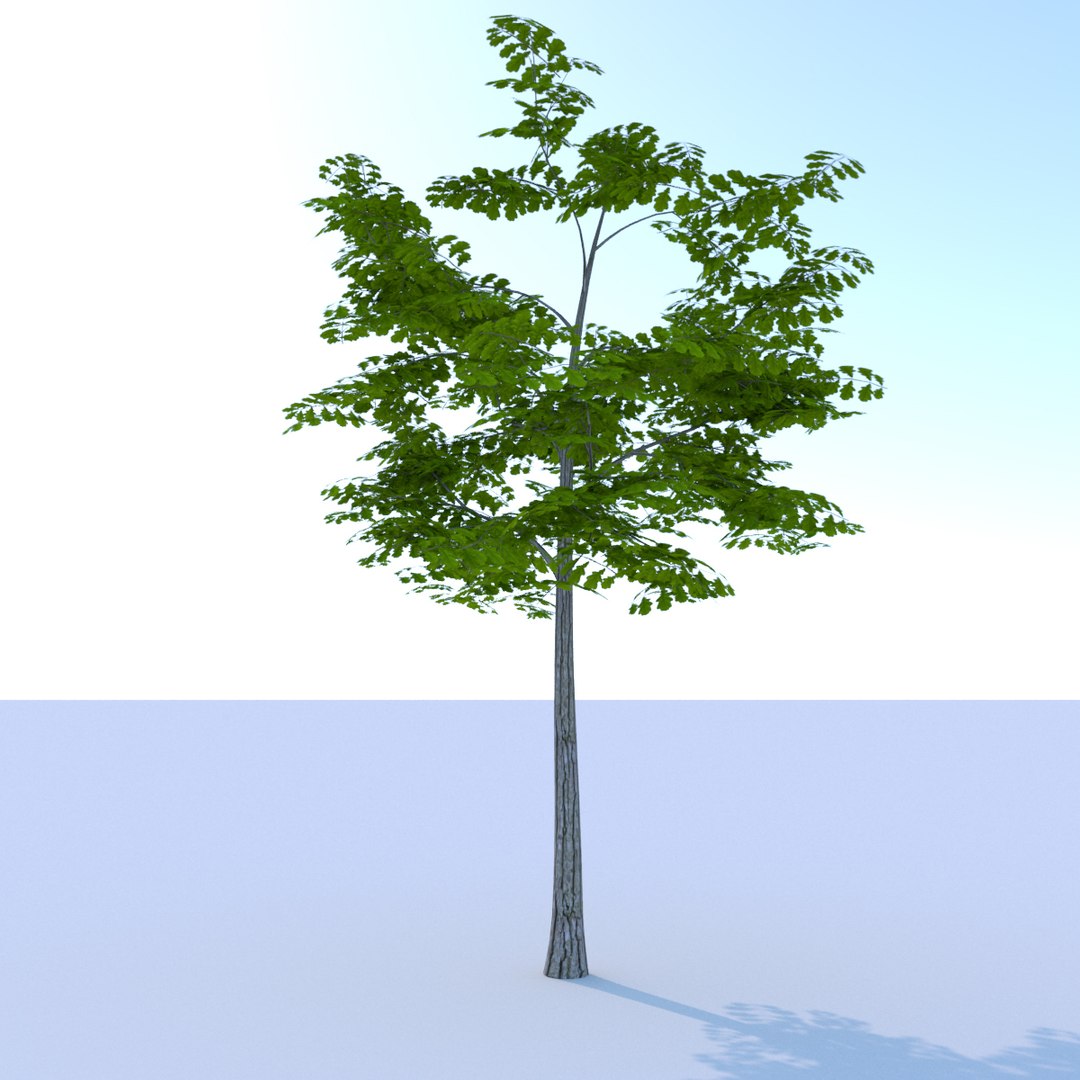 ready oak summer 3D model https://p.turbosquid.com/ts-thumb/RA/zu6g2J/38fCRknR/oaksummerlowpoly004/jpg/1561333915/1920x1080/fit_q87/bbbb520d2a6f969d2088d68b763dc540ad397937/oaksummerlowpoly004.jpg
