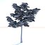 Oak (Summer) Low Poly