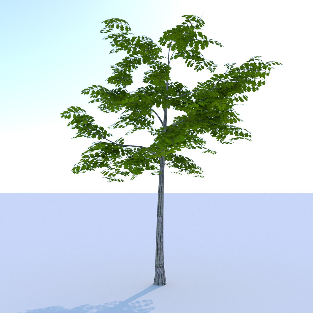 ready oak summer 3D model https://p.turbosquid.com/ts-thumb/RA/zu6g2J/JxCrVxIw/oaksummerlowpoly003/jpg/1561333915/1920x1080/fit_q87/3189c518ea904d02d28cdeb4b5a39e9230b6e120/oaksummerlowpoly003.jpg