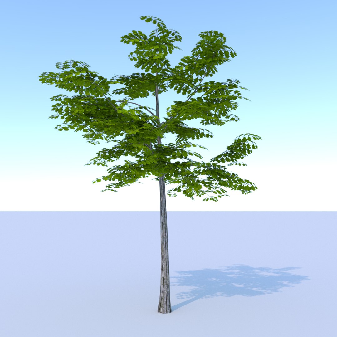 ready oak summer 3D model https://p.turbosquid.com/ts-thumb/RA/zu6g2J/OPVgUNUj/oaksummerlowpoly001/jpg/1561333915/1920x1080/fit_q87/14eb2cc48dae900384c56d36b20833faae5fdca2/oaksummerlowpoly001.jpg