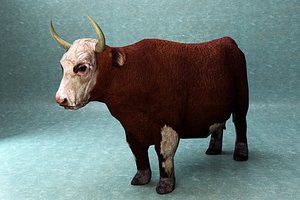 Cow lowpoly rigged