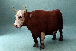 Cow lowpoly rigged
