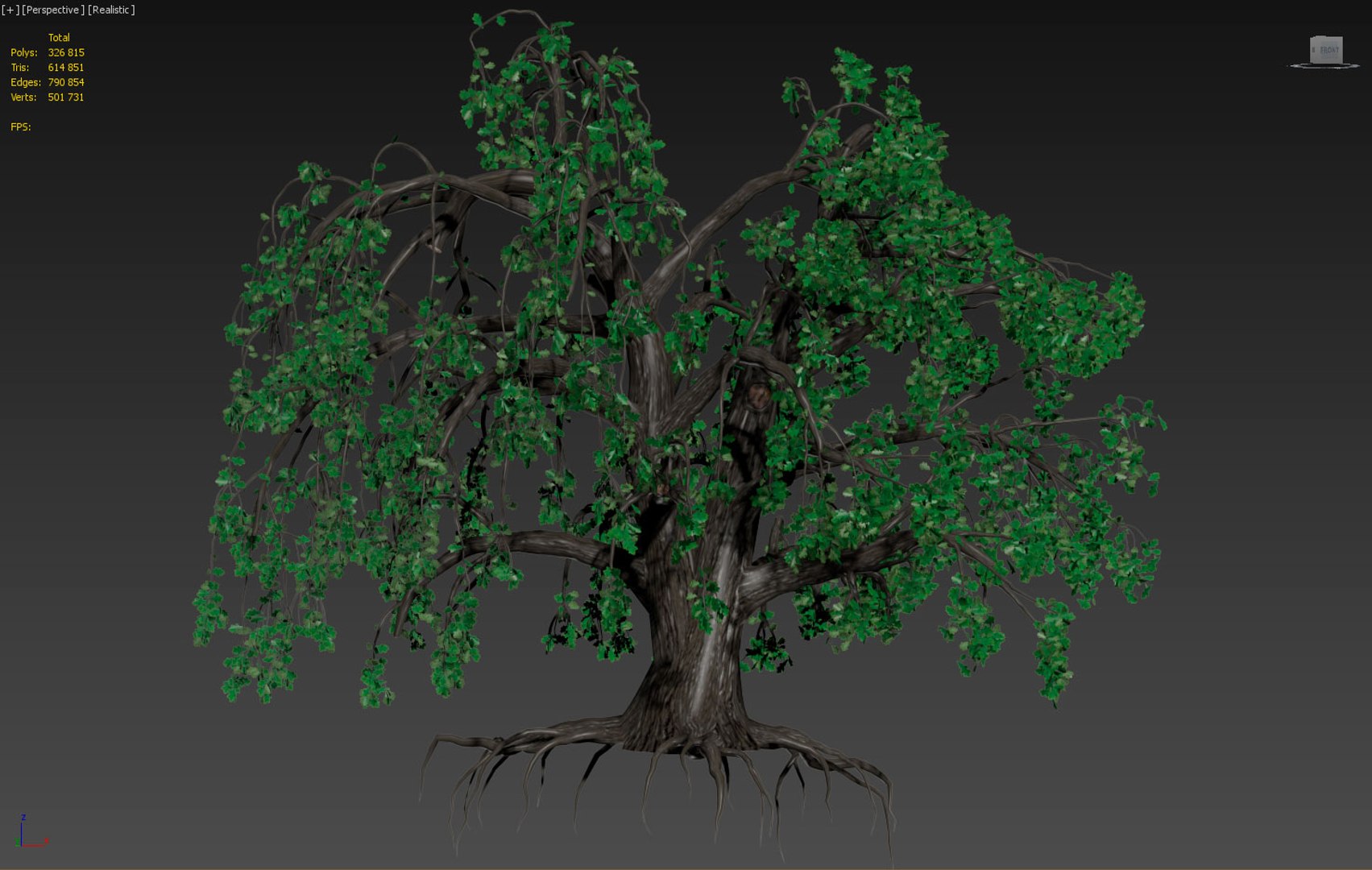3D Tree Oak Old Spring Model - TurboSquid 1342640