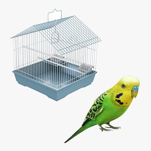 Bird and Bird Cage Collection 3D model