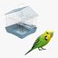 Bird and Bird Cage Collection