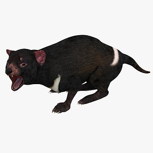 Multicolor Tasmanian Devil Magnet by wotfan69, Download free STL model