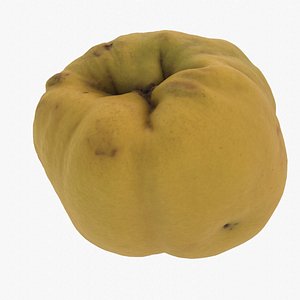 Quince fruit 02 high-poly 3D model 3D model