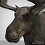 moose modeled horn 3ds