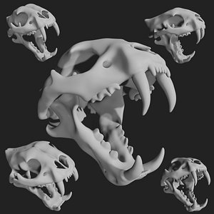 3D Tiger skull
