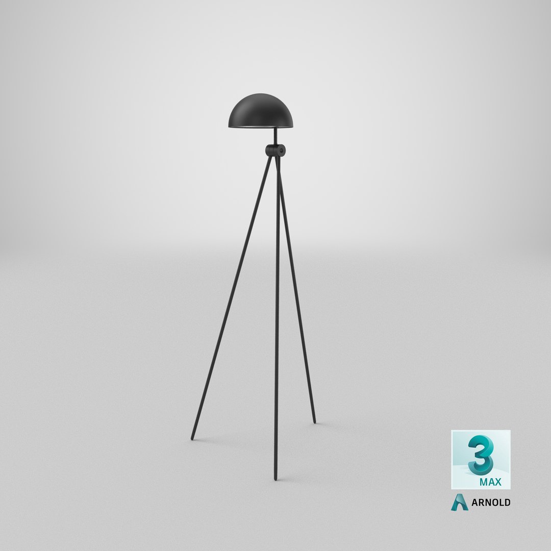 floor lamp 3D model https://p.turbosquid.com/ts-thumb/RB/hAy4sm/8E3rtxWb/stemcell_max_arnold_render/png/1609352945/1920x1080/fit_q87/701b815e9e9b53cc1ab485185cfdbbdcaa086e7b/stemcell_max_arnold_render.jpg