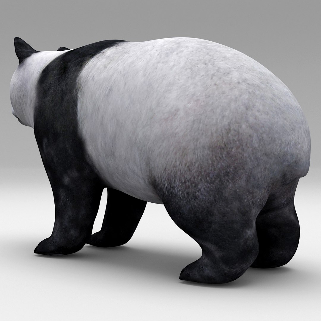 Giant Panda 3ds