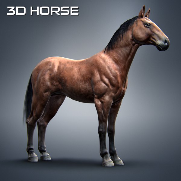 Cavalo de corrida realista Modelo 3D - TurboSquid 1133352