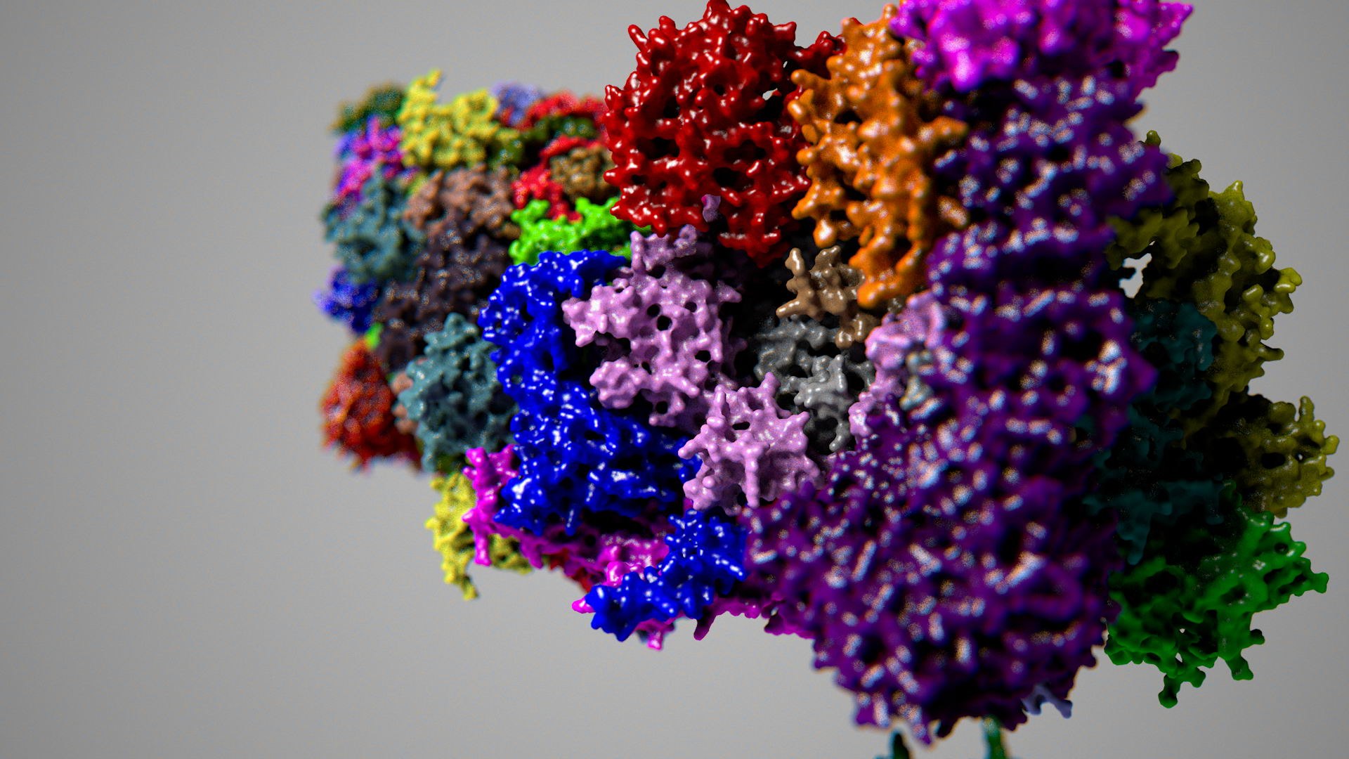 3d complete 26s 30s proteasome model https://p.turbosquid.com/ts-thumb/RB/rYYzgR/8Fq5SfeM/26s001_0060/jpg/1434677378/1920x1080/fit_q87/e3baaab27a80c4f514a59abcd936d06eea433d3d/26s001_0060.jpg