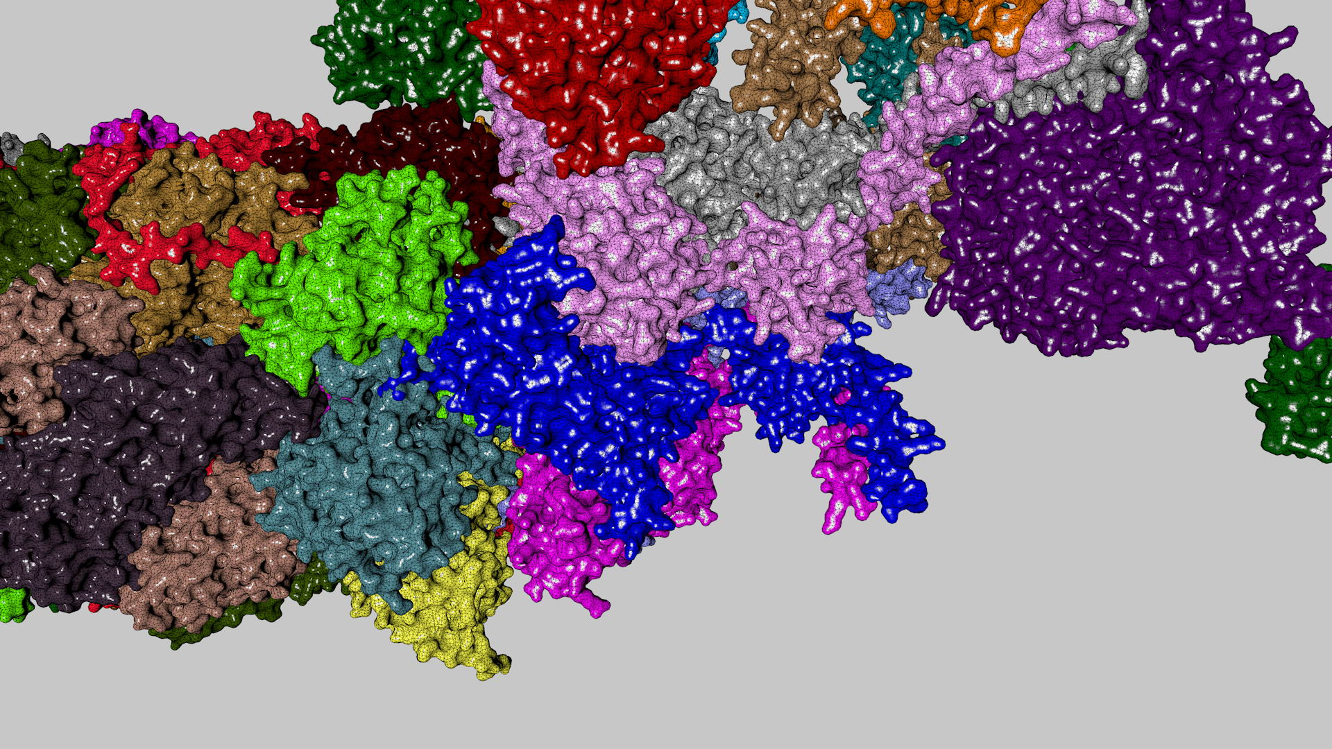 3d complete 26s 30s proteasome model https://p.turbosquid.com/ts-thumb/RB/rYYzgR/AP3mJy8w/26sturn05/jpg/1434677698/1920x1080/turn_fit_q99/5bedbb9716542e1e5b4df86a54734b64cbdd52fd/26sturn05-1.jpg