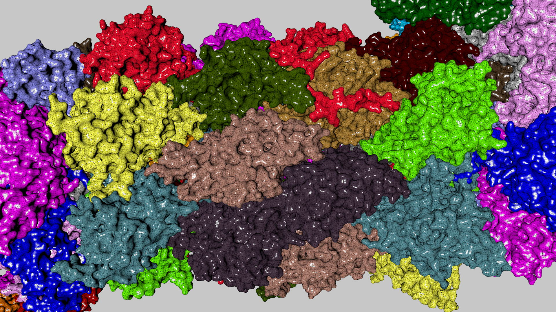 3d complete 26s 30s proteasome model https://p.turbosquid.com/ts-thumb/RB/rYYzgR/HhuUGXbX/26sturn04/jpg/1434677608/1920x1080/turn_fit_q99/6763e8a585e6539d552ce9fa6d201f483d59682a/26sturn04-1.jpg