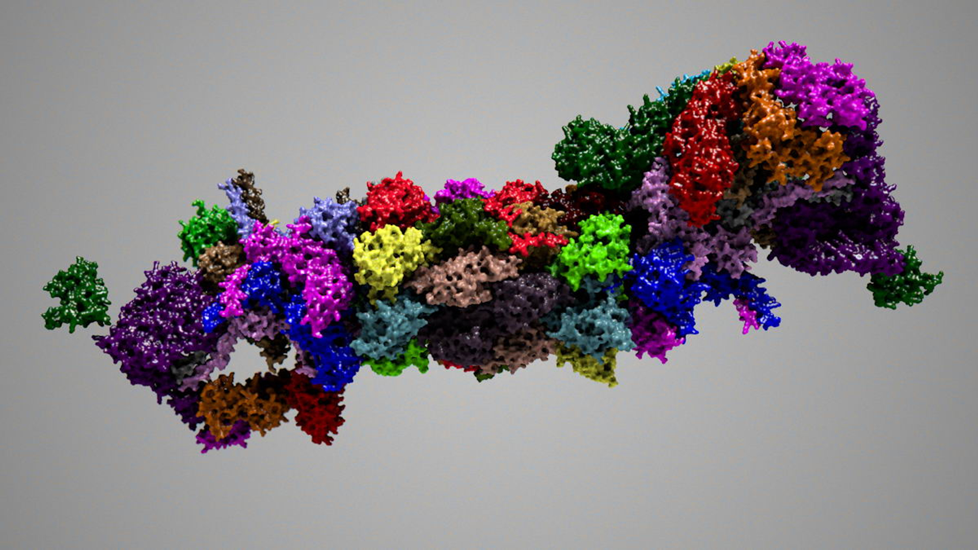 3d complete 26s 30s proteasome model https://p.turbosquid.com/ts-thumb/RB/rYYzgR/PNe63nS6/26sturn01/jpg/1434677429/1920x1080/turn_fit_q99/f02df5d14568b74f8fad4498bac212f5b55e5118/26sturn01-1.jpg