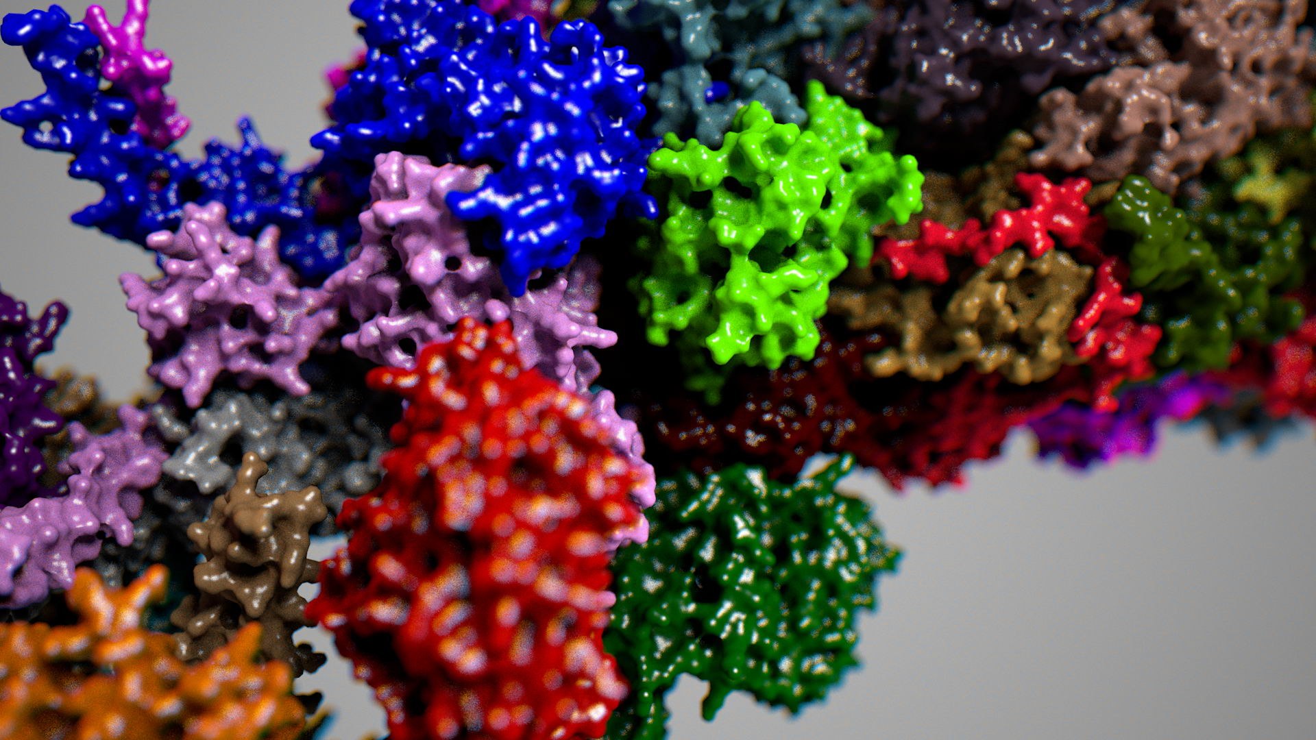 3d complete 26s 30s proteasome model https://p.turbosquid.com/ts-thumb/RB/rYYzgR/TGyFqqSR/26s002_0049/jpg/1434677378/1920x1080/fit_q87/9149d818bdc06a5fe5498dc440ade7a71b452846/26s002_0049.jpg