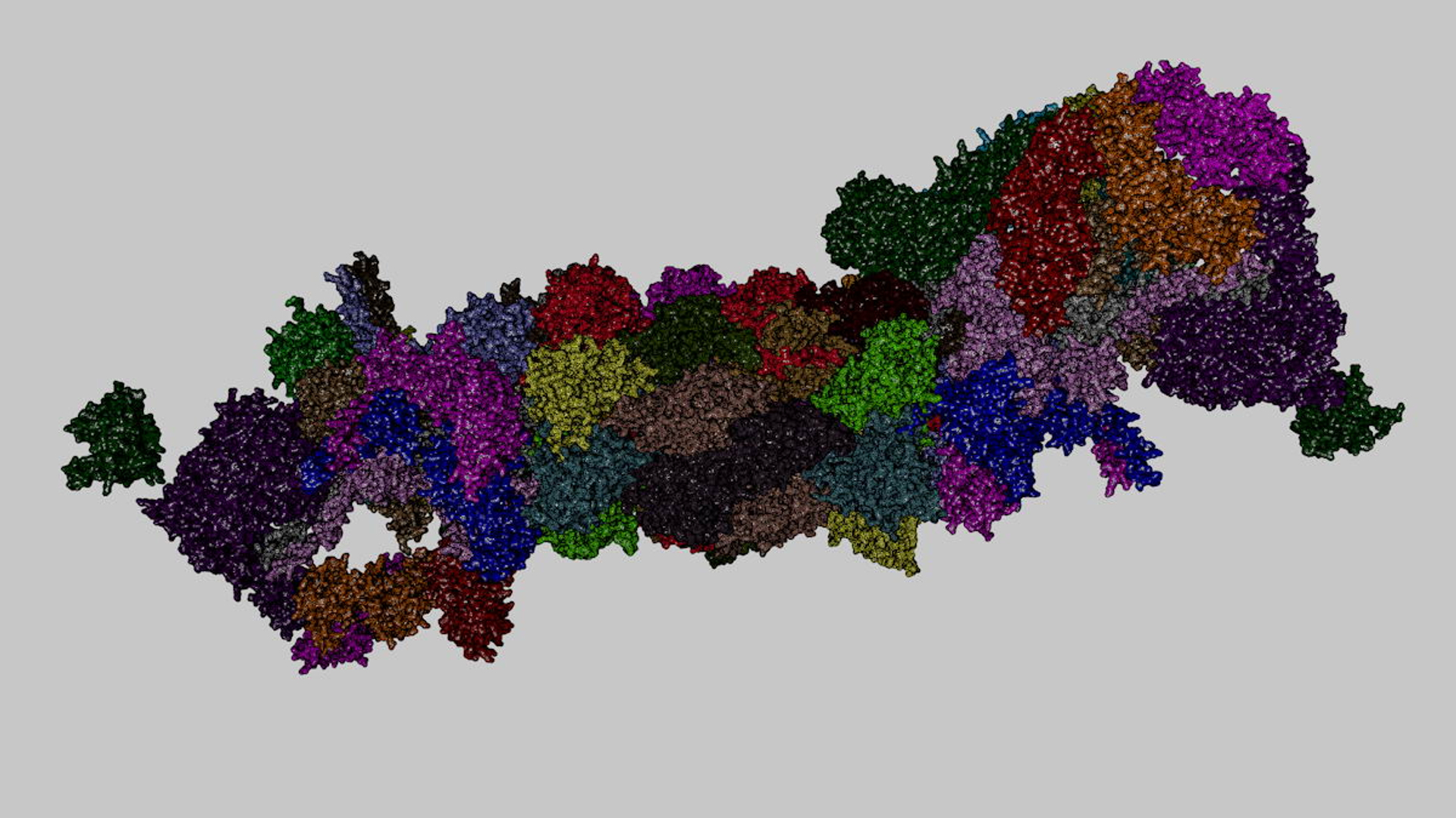 3d complete 26s 30s proteasome model https://p.turbosquid.com/ts-thumb/RB/rYYzgR/a6zYin24/26sturn02/jpg/1434677469/1920x1080/turn_fit_q99/3aa3b14f8db1084aca7d1a0b1c7e2ee70a15150a/26sturn02-1.jpg