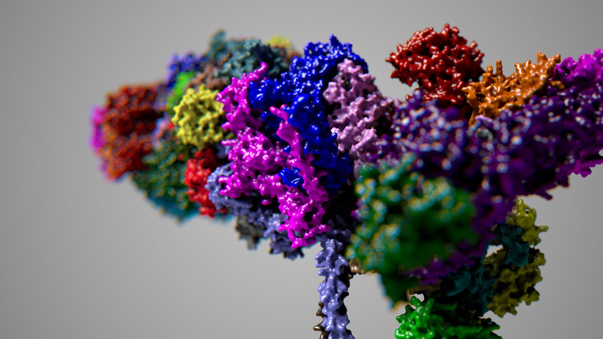 3d complete 26s 30s proteasome model https://p.turbosquid.com/ts-thumb/RB/rYYzgR/iHJ0aMQ5/26s001_0049/jpg/1434677378/1920x1080/fit_q87/8b9b2e7a5591e2f55207077f1b9fdfb90c04c7b8/26s001_0049.jpg