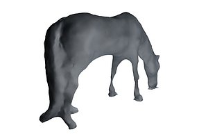 Detailed Horse Base Mesh