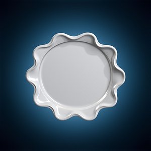 Splash Ring Tray 3D Print Model 3D model
