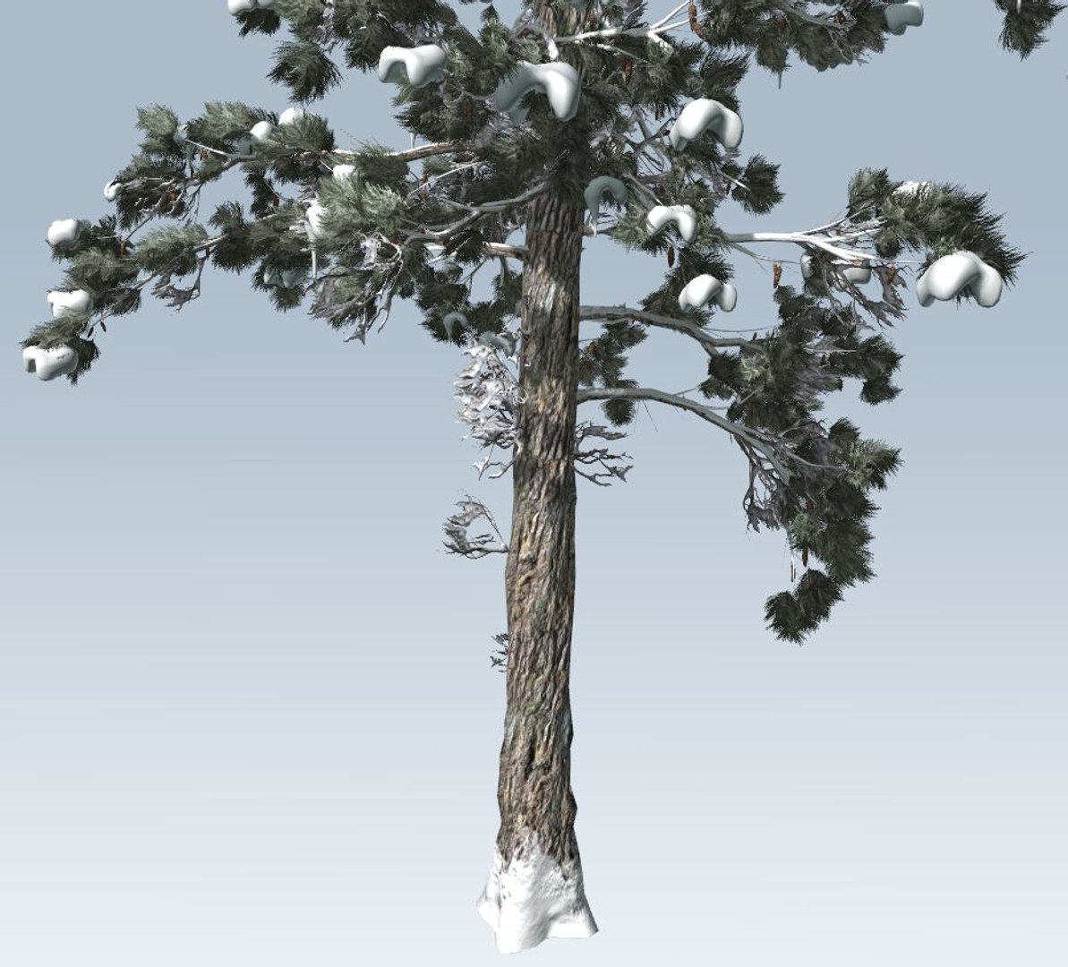 Tree winter pine model - TurboSquid 1367289