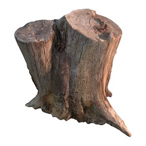 stump