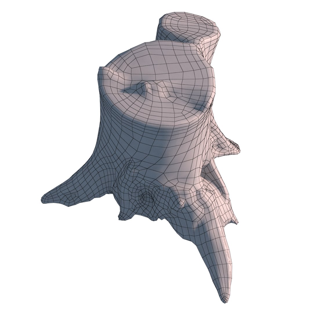 stump 3d max https://p.turbosquid.com/ts-thumb/RC/CaCwbz/0pgtEPEU/5/png/1455651030/1920x1080/fit_q87/85e94c9a660fbd1eefb07c30371fac04e3c0516a/5.jpg
