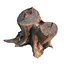 stump