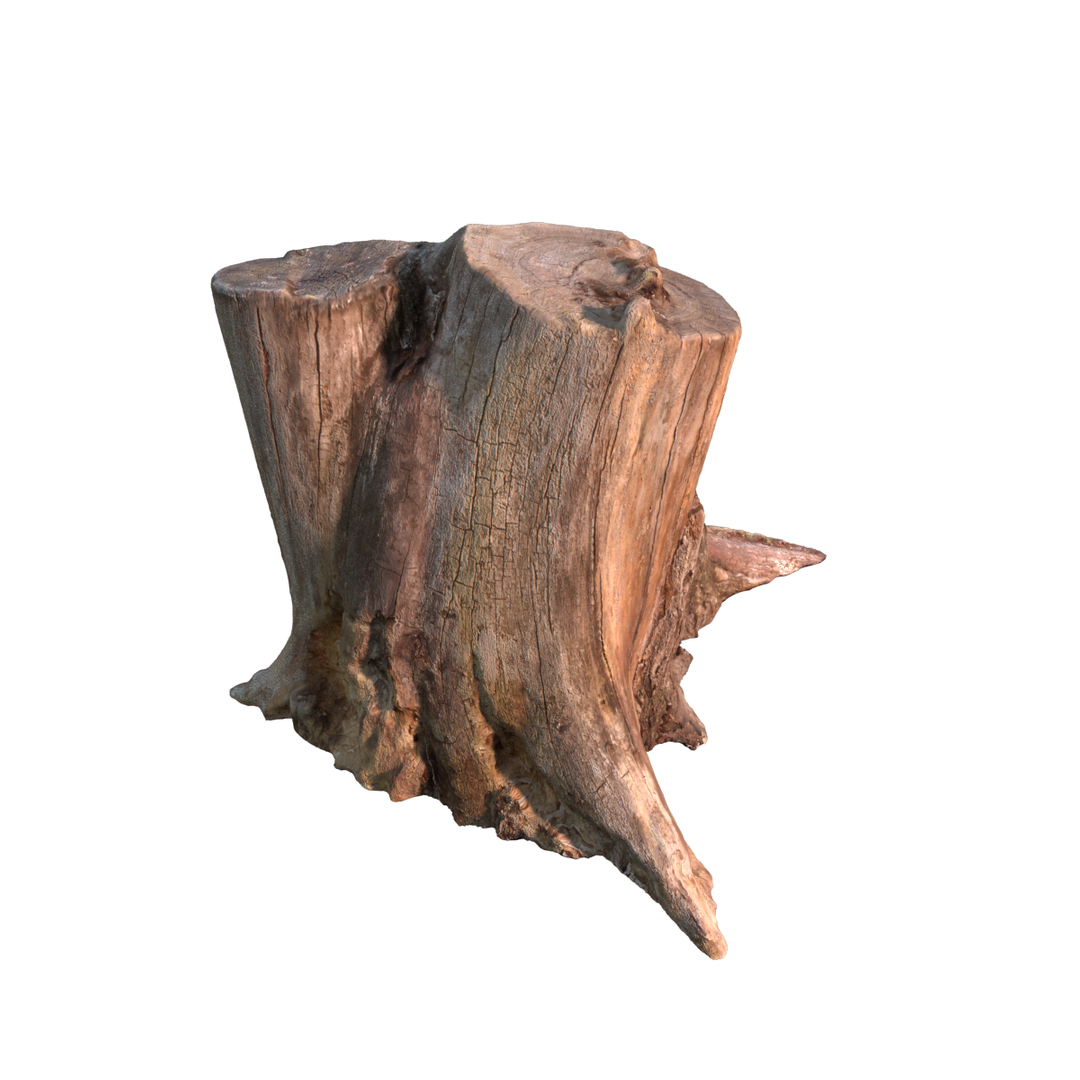 stump 3d max https://p.turbosquid.com/ts-thumb/RC/CaCwbz/LYFbdite/frame/png/1455650904/1920x1080/turn_fit_q99/04d08df7de466ab4a6a5657e361951f625b24c02/frame-1.jpg