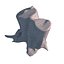 stump