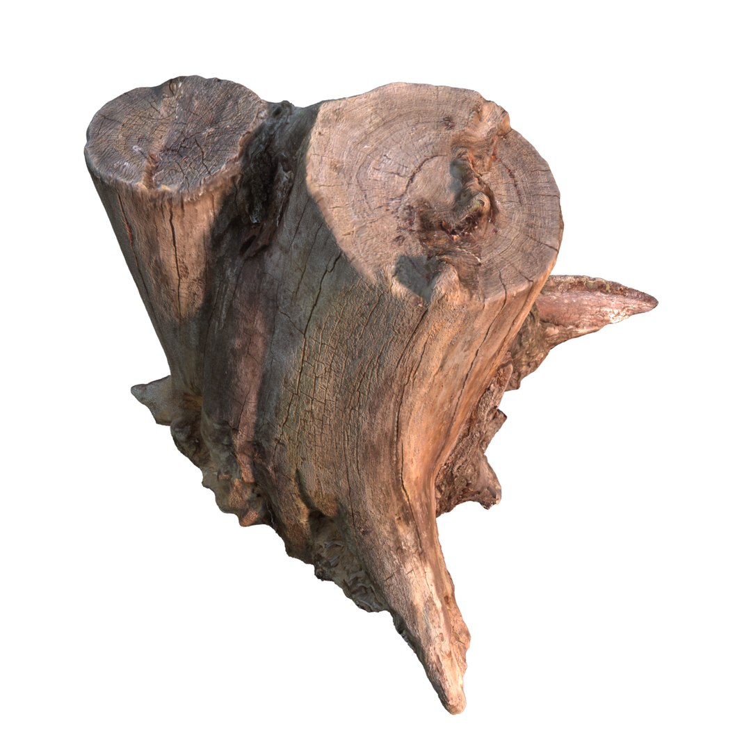 stump 3d max https://p.turbosquid.com/ts-thumb/RC/CaCwbz/fVI54pmH/2/png/1455651030/1920x1080/fit_q87/477329a66c6d4ac81de7cd517c83e726126f0df4/2.jpg