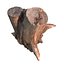 stump