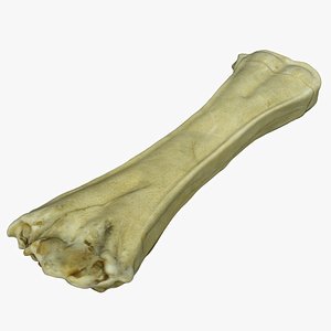 Dog Bone Snack 01 3D model
