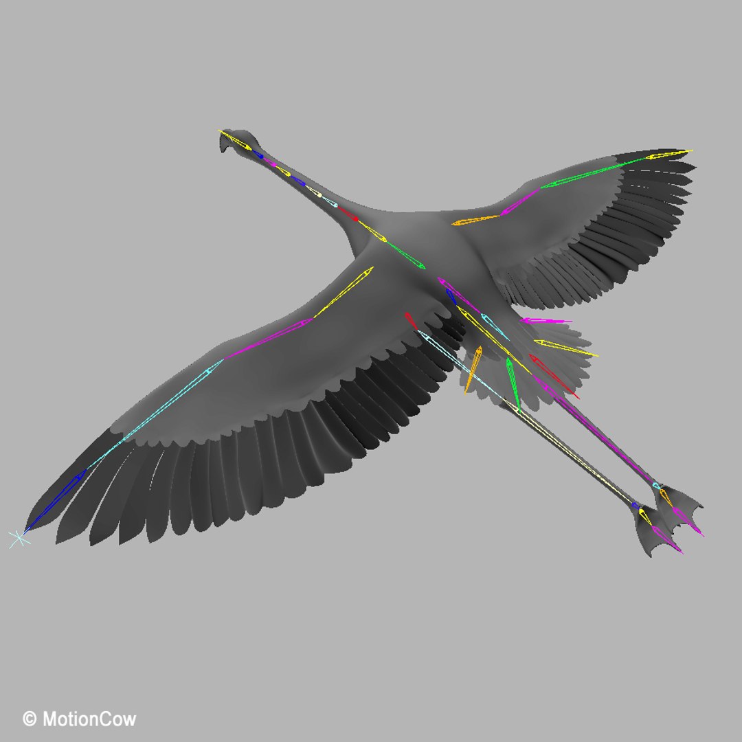 3d model realistic flying flamingo https://p.turbosquid.com/ts-thumb/RC/JFS2mv/6Zvo9D02/flamingo_rig/jpg/1312280285/1920x1080/fit_q87/c63b3f352ba51ef39cbf2fd79e6e2b7a74ccbc4a/flamingo_rig.jpg