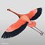 3d model realistic flying flamingo