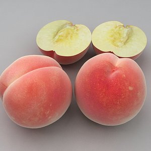 3d model peach modelled