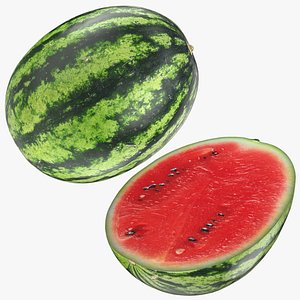 3D Watermelon Collection 2 model
