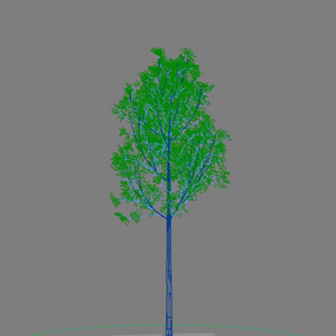 3d Model Tree