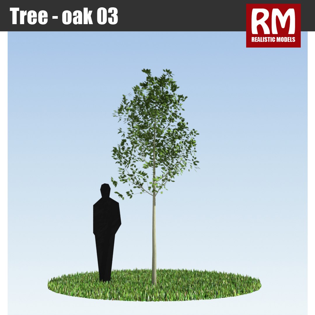 3d Model Tree