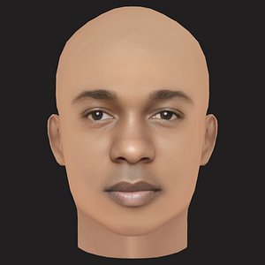 Low Poly Kendrick Lamar Rapper Head