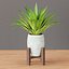 3D indoor plants collection vol 53 model