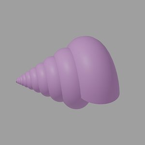 Seashell