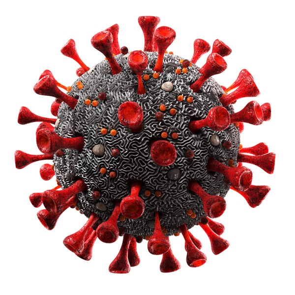 virus_04_1.jpg