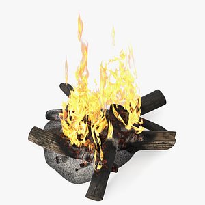 Bonfire of Wooden Logs