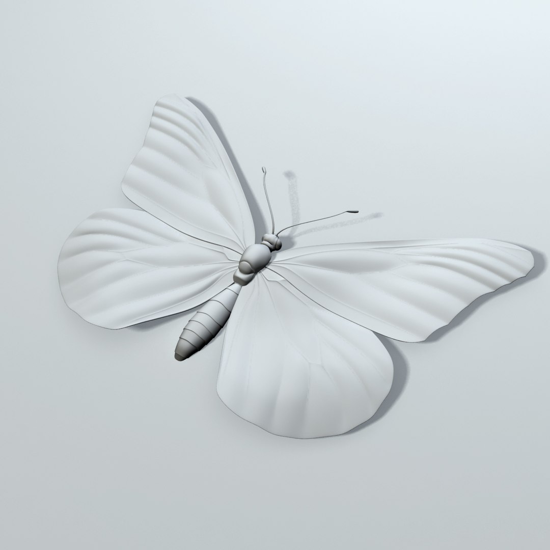 monarch butterfly max https://p.turbosquid.com/ts-thumb/RD/dJc1YL/8uvNeabz/turnaround_clay_final00/jpg/1320781405/1920x1080/fit_q87/3349f720312fdba819d15cbacb65ec45663d7811/turnaround_clay_final00.jpg