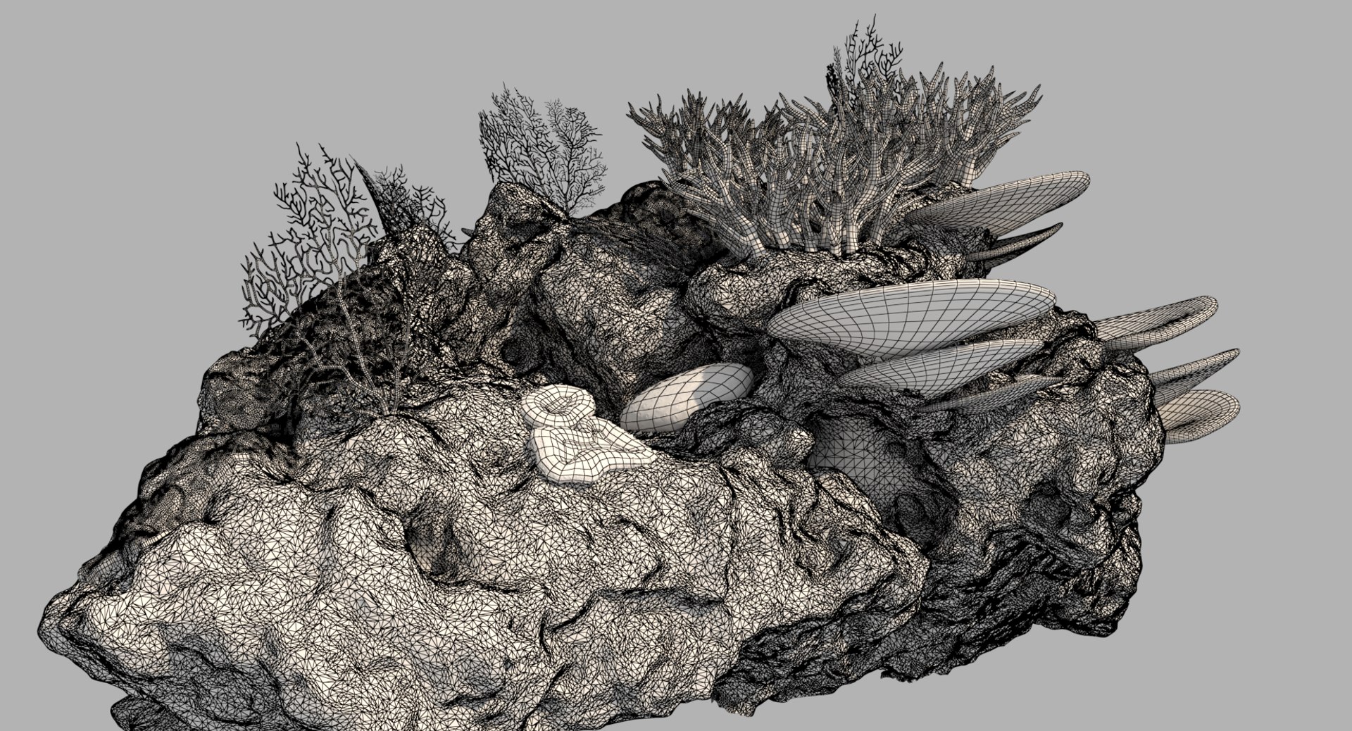 3D coral reef model - TurboSquid 1243686